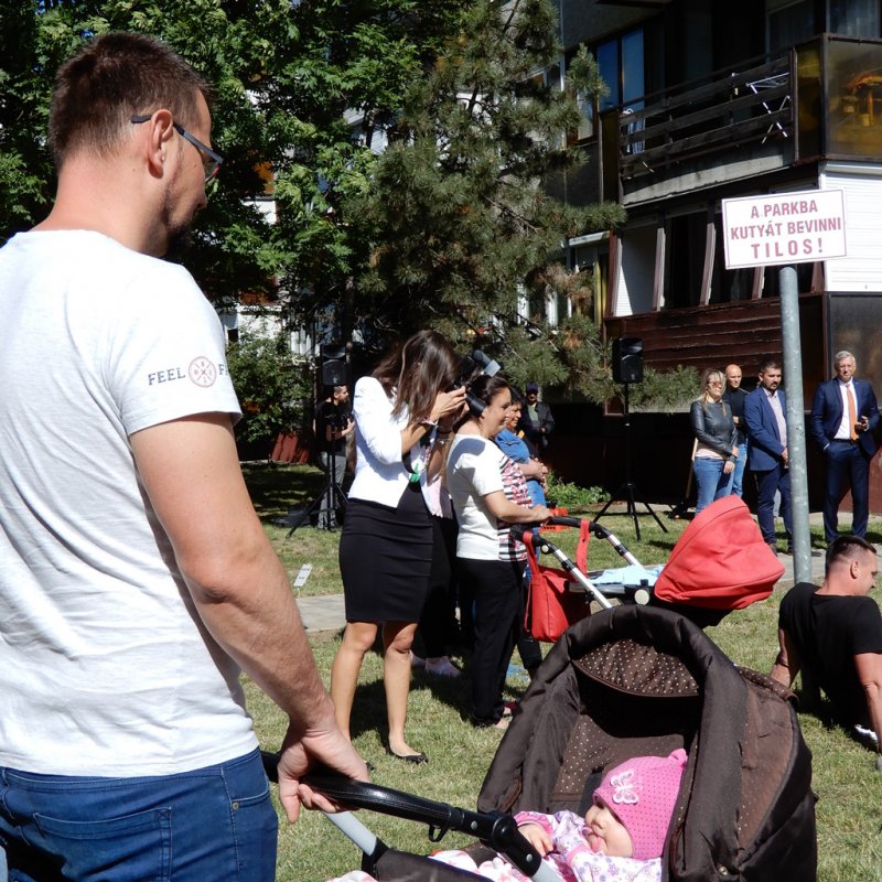 Életfa ültetés a város napján 14